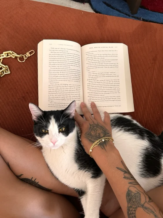un nouveau roman 📚
