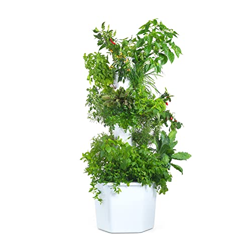 Outdoor Vertical Hydroponic Growing System Kit