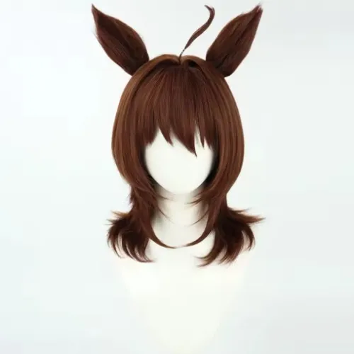 Agnes Tachyon wig and ears!