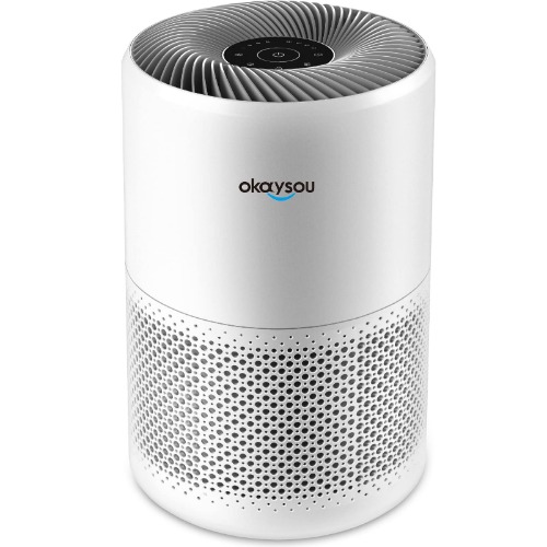 Okaysou HEPA Air Purifiers for Bedroom, 600 SqFt Coverage for Large Room, H13 True HEPA Filter for Allergies and Pets, Powerful DC Filtration System, Remove 99.97% Smoke Dust Pollen Pet Hair Odor Mold - 