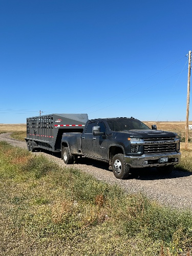 Detail Dad’s Truck