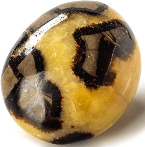 Septarian Palm Stone
