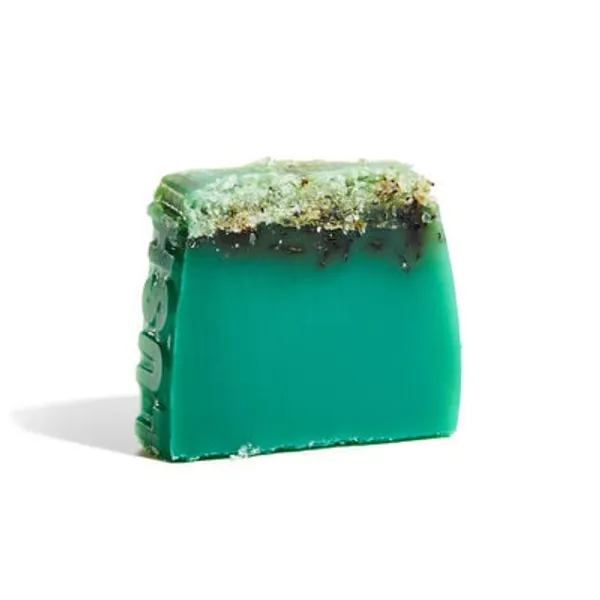 Sea Vegetable | Bar Soap | Lush Cosmetics
