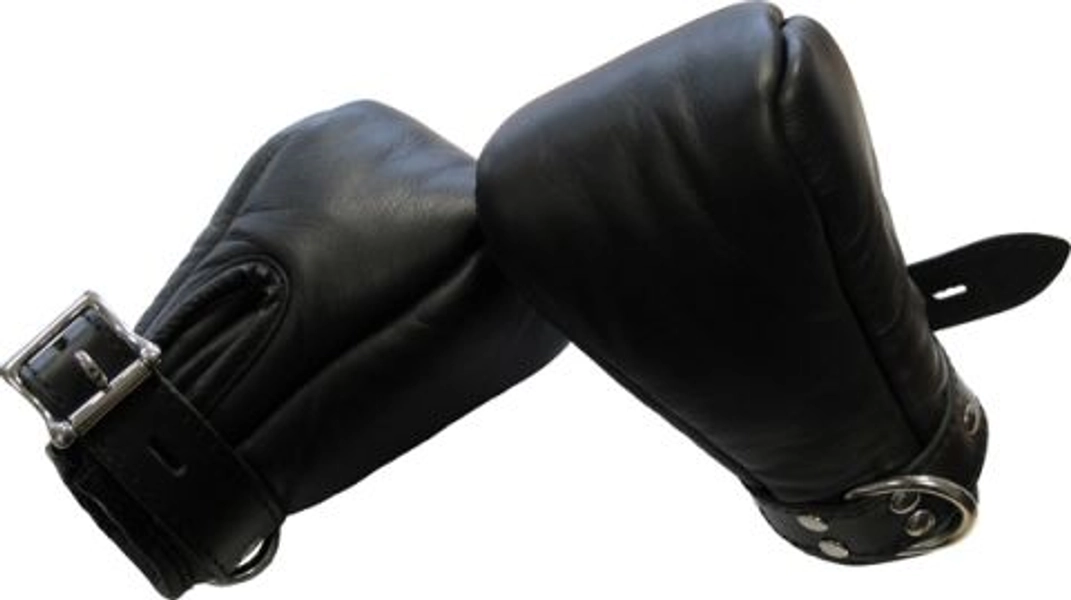 Mister B Premium Fist Mitts
