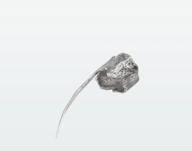 Shuwuu Claw ring