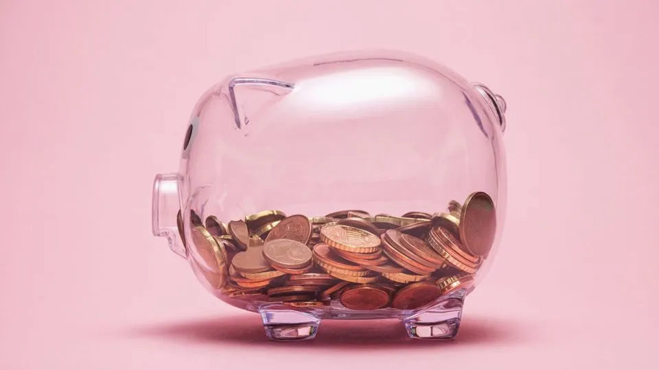 ROTH IRA CONTRIBUTION