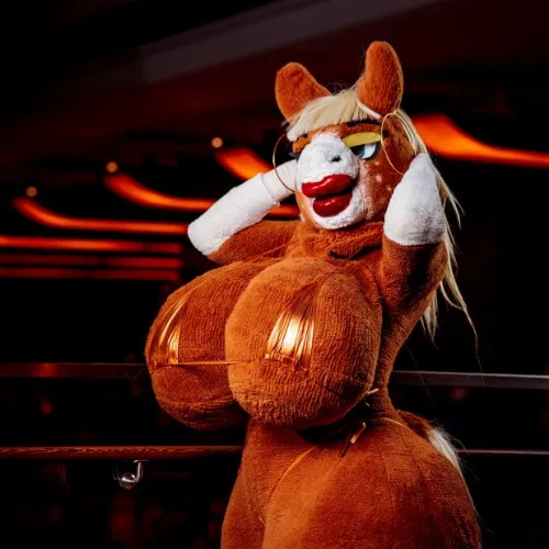 Professional photos done by Vsaber