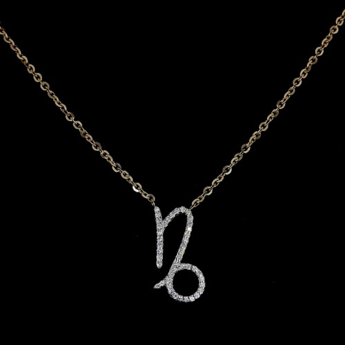 Capricorn Zodiac Necklace - Gold 14k