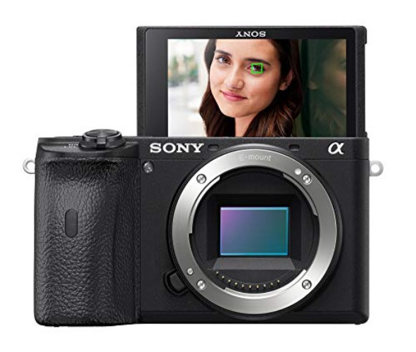 Sony Alpha A6600 Mirrorless Camera - Body only