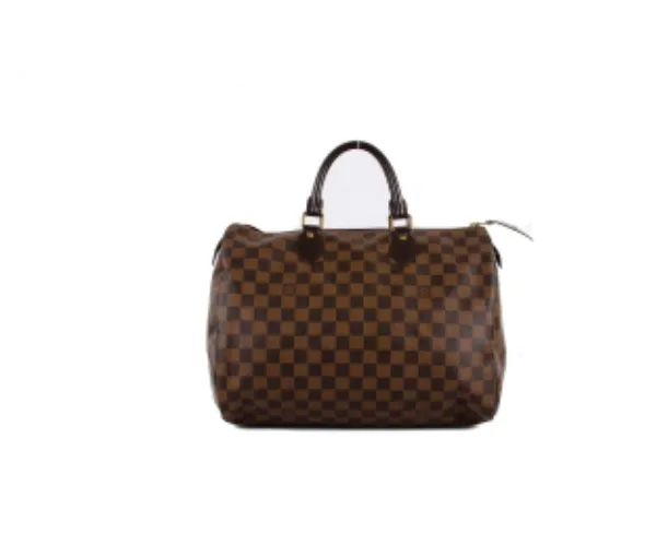 Louis Vuitton Canvass Bag