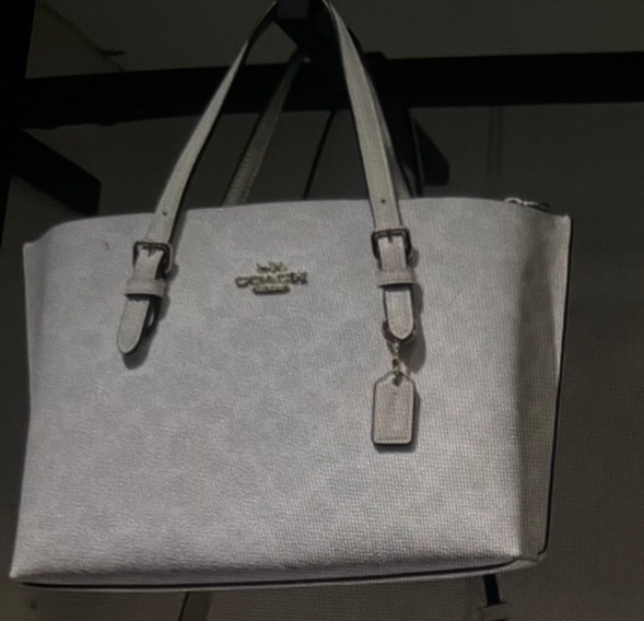 Mollie Tote Bag In Signature Canvas