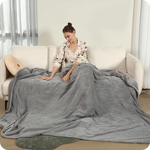 Electric Heated Blanket 72"x84" Full Size with 4 Heating Levels and 10 Hours Auto-Off Large Oversized Heating Blanket with Soft Plush Fabric for Bedding - Gray - 1-light Grey - Full(72"x84")