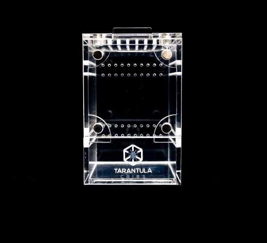 Spiderling Enclosure 