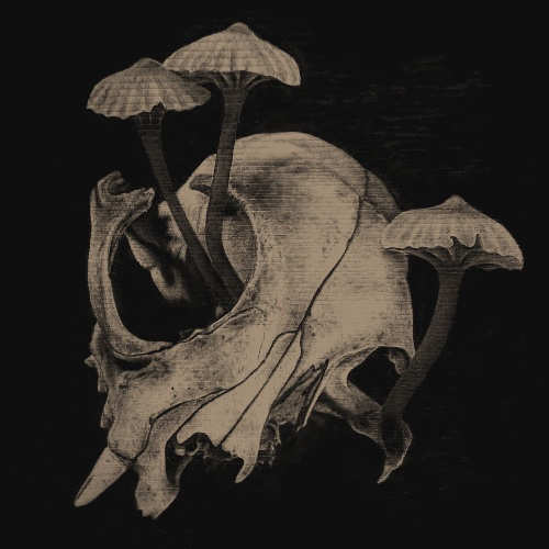 Finsub Future Tarot Reading 