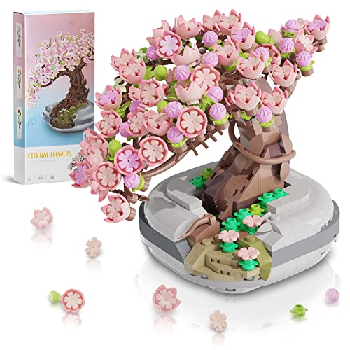 Sakura Bonsai 
