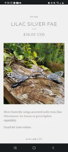 Butterfly Wing Frames