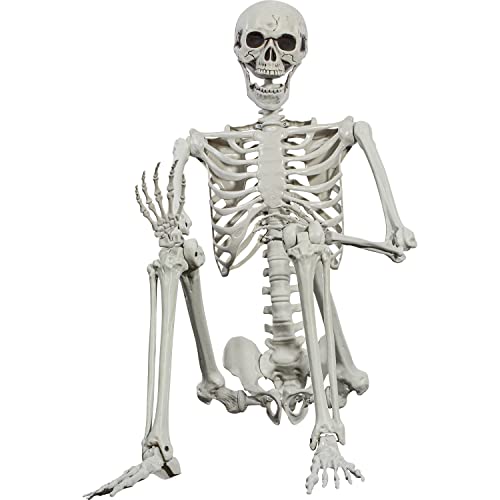 Halloween Posable Skeleton - 165cm Realistic Life Size Human Skeleton Bones with Movable Joints for Halloween Haunted House Decoration - 1
