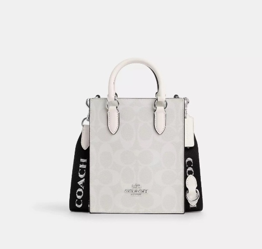Coach North South Mini Tote In Signature Canvas Smooth Leather