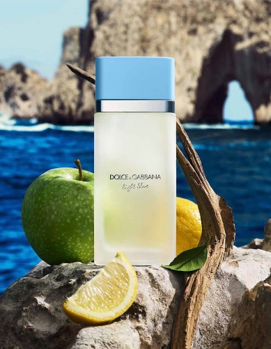 DOLCE & GABBANA Light Blue Eau De Toilette | Parfum | ICI PARIS XL