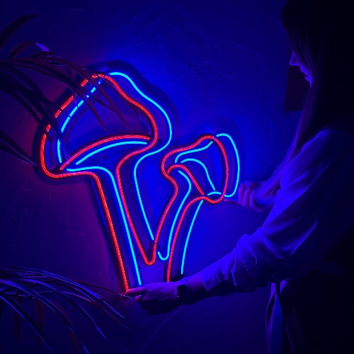 Mushrooms - Without Remote Control