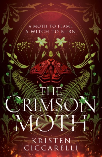 The Crimson Moth: The perfect witch x witch hunter, enemies to lovers, YA romantasy that is a 2024 TikTok favourite: Book 1