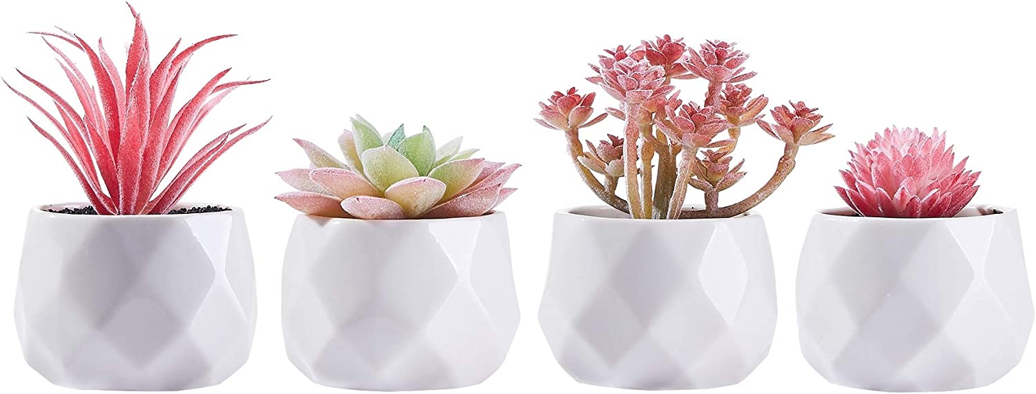 CADNLY Small Fake Desk Plant – Pink Decor for Women Desk - Artificial Succulent Plants - Faux Succulents in White Ceramic Pots – Mini Pink Succulent Decor for Bedroom Bathroom Bookshelf Office - Pink