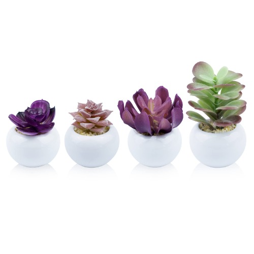 4 PCS Artificial Succulent Plants, Mini-Sized Assorted Fake Succulent Potted with White Ceramic Potted for Home Bath Office Shelf Decoration