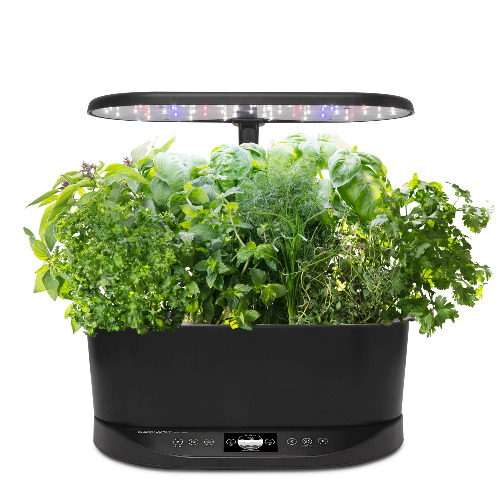 AeroGarden Bounty Basic - Indoor Garden with LED Grow Light, Black - Bounty Basic Black