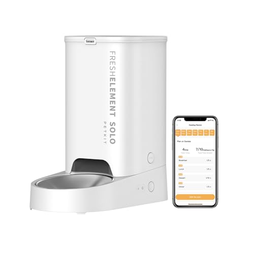 Comedero Gato Automatico