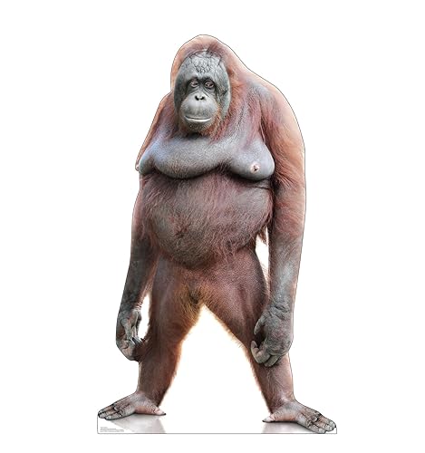 Cardboard People Orangutan Life Size Cardboard Cutout Standup - Made in USA - Orangutan - One Size