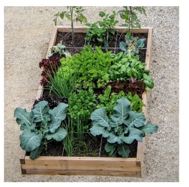 For my gardening dreams