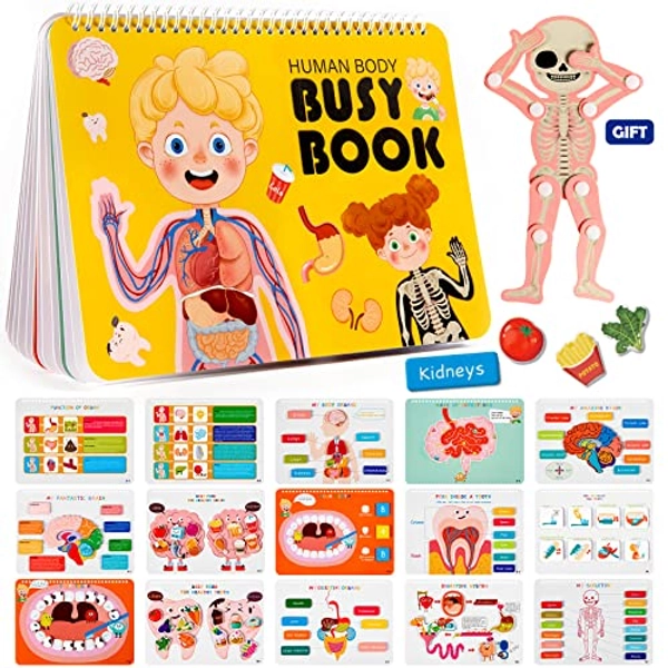 Freebear Montessori Busy Book for Kids, Human Body Anatomy Book for Toddlers, Preshool Kindergarten Learning Activities, Autism Sensory Toys, Travel Toys, Gifts for Girls and Boys 4 5 6 7 8 Years