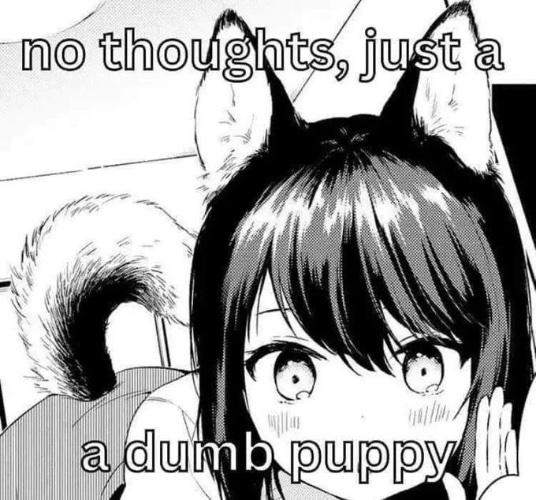 ૮꒰˵• ﻌ •˵꒱ა