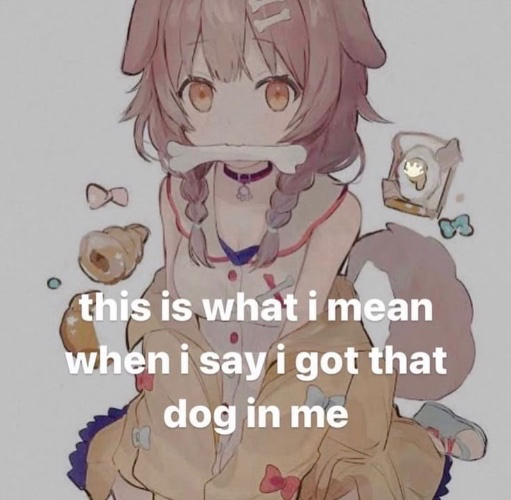 ૮꒰ྀི⸝⸝> . <⸝⸝꒱ྀིა