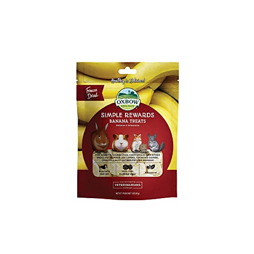 Oxbow Simple Rewards Freeze Dried Banana Treats for Rabbits, Guinea Pigs, Chinchillas, and Small Pets - Banana - 1 Fl Oz (Pack of 1)