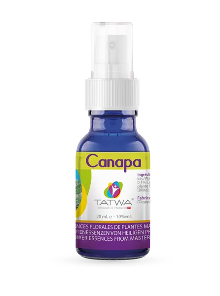 Canapa