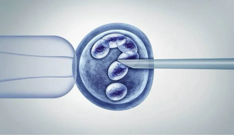 PGT or polygenic embryo screening