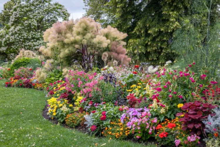 Nurseries / Garden centers.