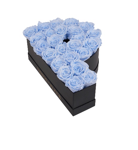 Le Grand Letter - P | P / Baby Blue