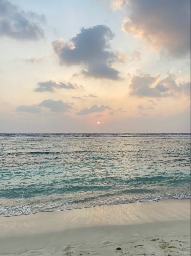vacation 