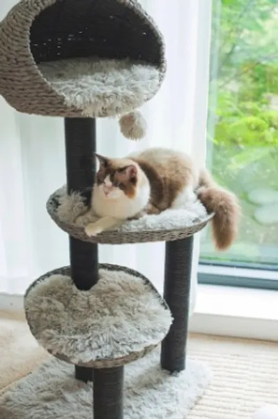 Tundra 4 Level Iron Grey Cat Tree Wood Cat Tower Luxury | Etsy