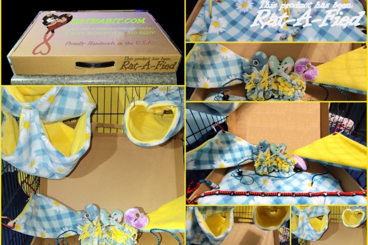 Standard Monthly Box  - 5 Matched Items  - Rats, Hedgehogs, Guinea pigs, Chinchillas, Sugar Gliders, and MORE!! | Default Title