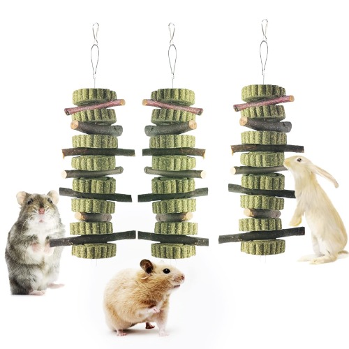 Cookies For Guinea Pigs! Awww