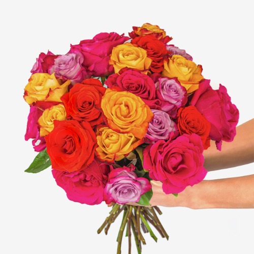 Kaleidoscope Roses - Regular Shipping