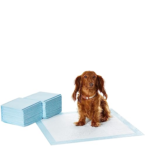 Amazon Basics Dog and Puppy Pee Pads with 5-Layer Leak-Proof Design and Quick-Dry Surface for Potty Training, Standard Absorbency, Regular Size, 22 x 22 Inch - Pack of 50, Blue & White - Unscented - Regular (50 Count)