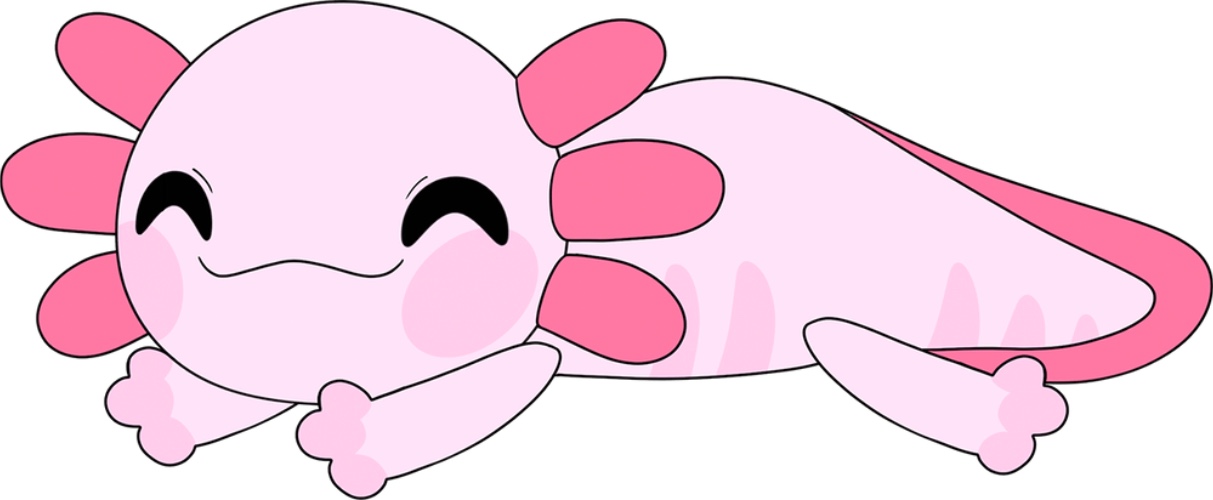 Axolotl Shoulder Rider (6in) | Default Title