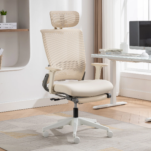 Izayiah Home Office Desk Chair Ergonomic Mesh Task Chair with Headrest, and Retractable Footrest