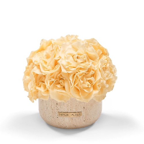 Terre Travertine Vase | Reflex Roses / Champagne