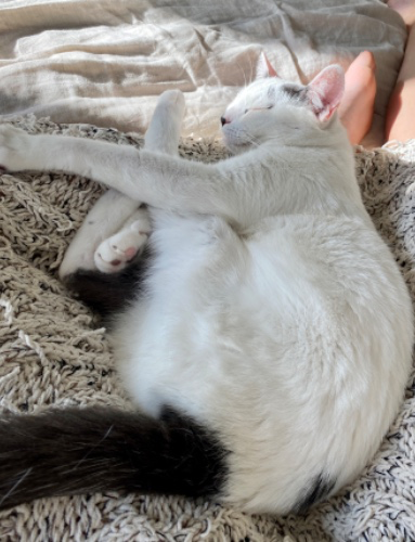 Monthly Food Shipment