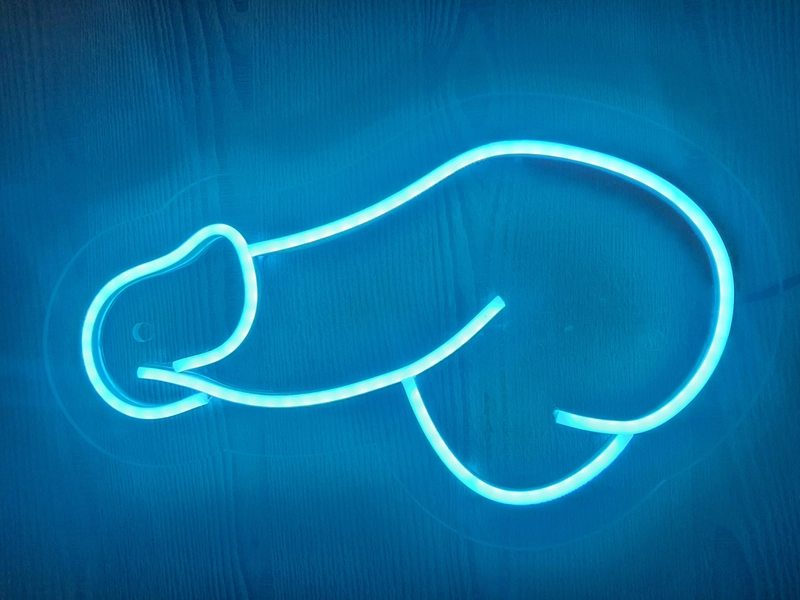Penis led sign,Penis neon sign,Penis neon light,Penis wall decor,Neon sign bedroom,Neon light sign for wall,Adult neon sign,Mature